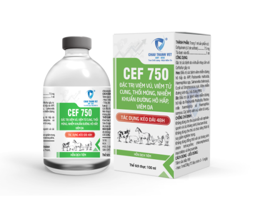 CEF 750