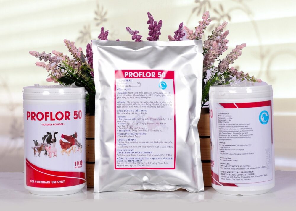 PROFLOR 50