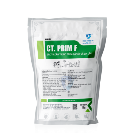 CT. PRIM F
