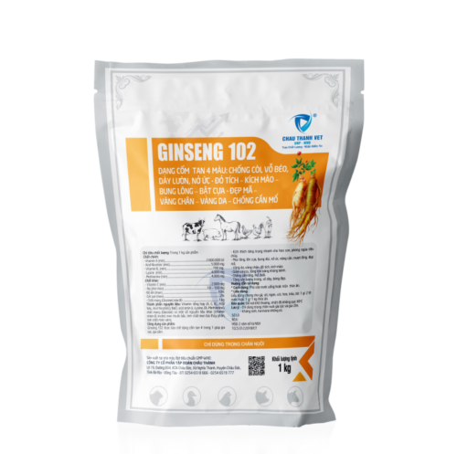 GINSENG 102