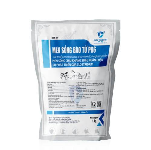 MEN SỐNG BAO TỬ PB6