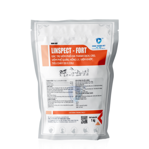 LINSPECT – FORT
