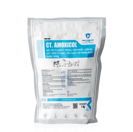 CT - AMOXICOL