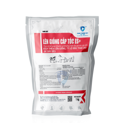 LÊN GIỐNG CẤP TỐC ES+