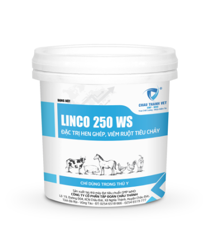 LINCO 250 WS