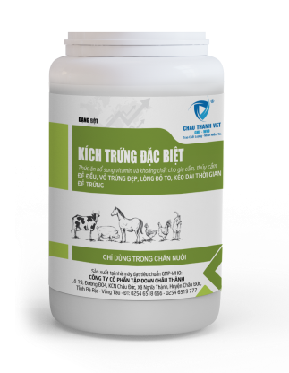 KÍCH TRỨNG ĐẶC BIỆT