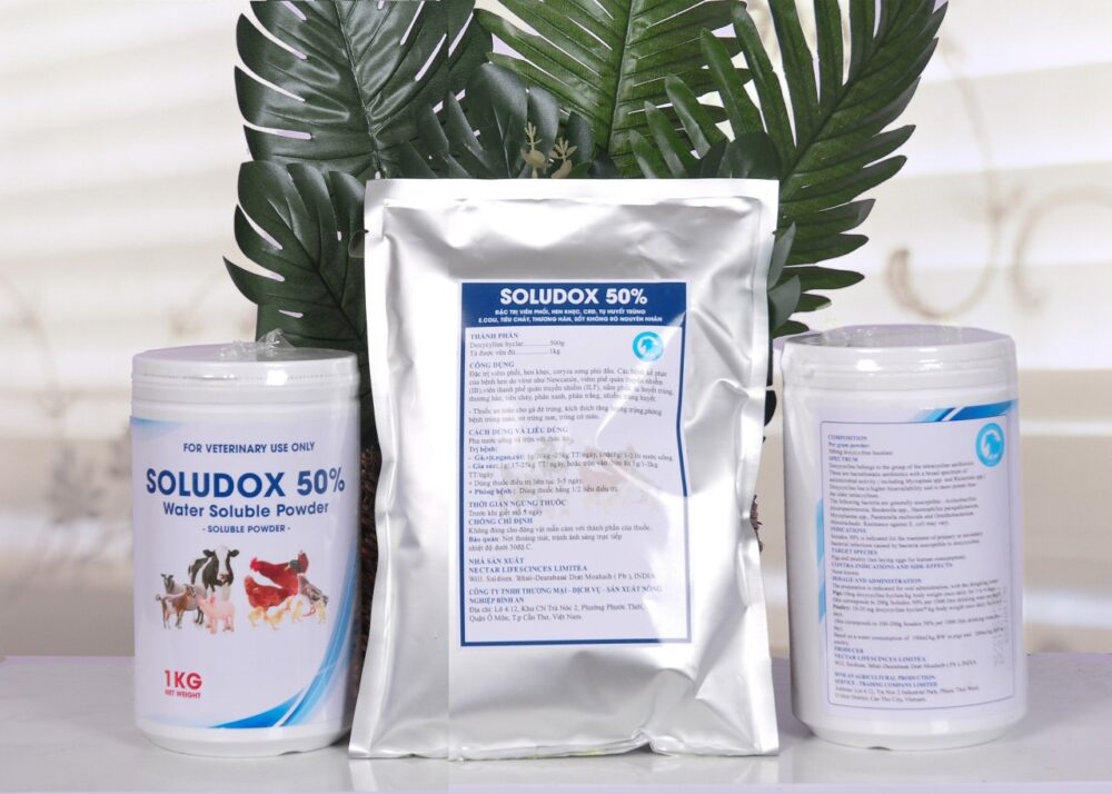 SOLUDOX 50%