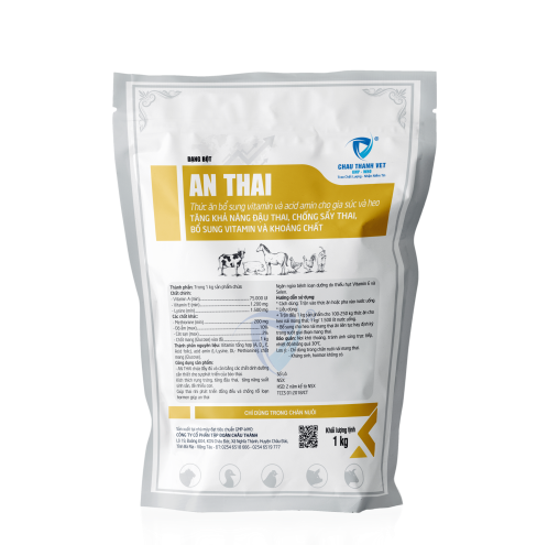 AN THAI