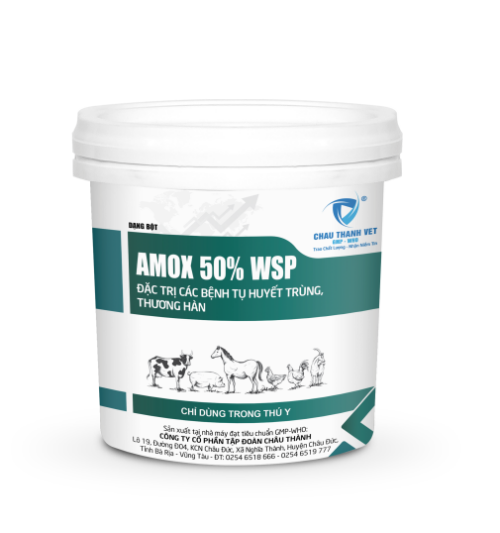 AMOX 50% WSP